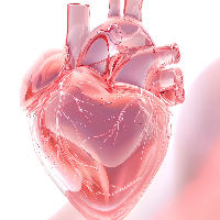 達比加群酯膠囊有什么作用？適合什么人吃